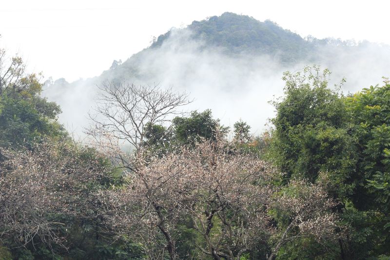 Guangdonglianghua National Forest Park