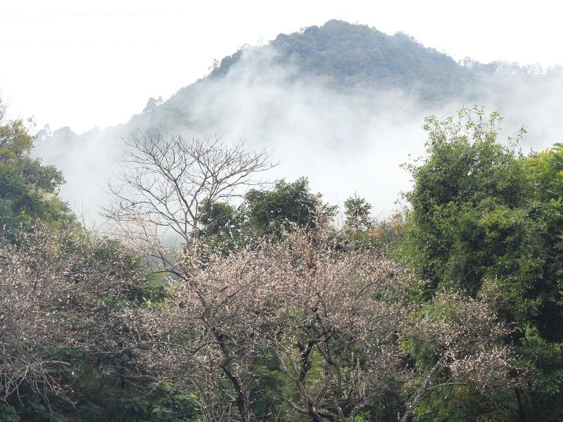 Guangdonglianghua National Forest Park