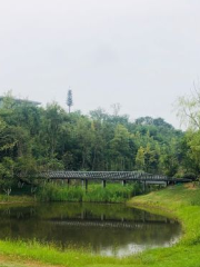 Mountain Park of Science City