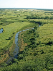 東方紅濕地國家級自然保護區