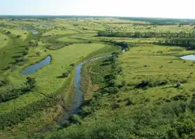 東方紅湿地国家級自然保護区
