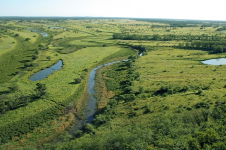 Dongfanghong Wetland National Nature Reserve
