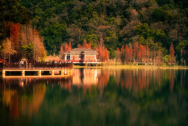 Разрешено размещения с домашними животными Отели в г. Цзянмэнь