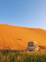 Alxa Desert Global Geopark