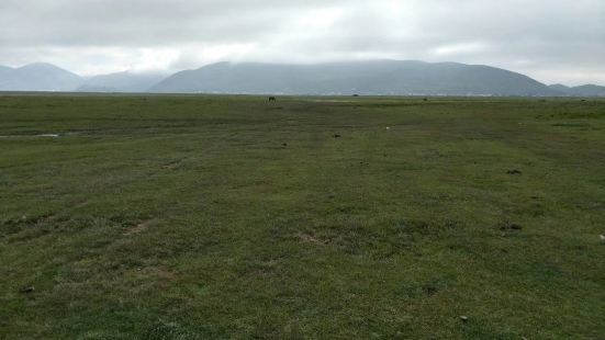 纳帕海三面环山，与依拉草原连成一体。雨季时，大部份草原被水分