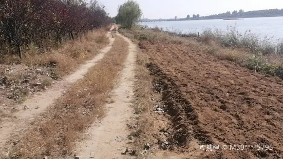 Dagu River And Jiaozhou Bay