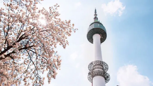 韓国・ソウル旅行モデルスケジュール✨ 2泊3日でソウルを満喫しよう!