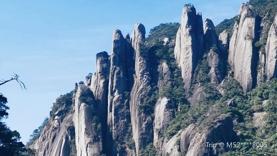 Taoist Priest Worshipping the Moon