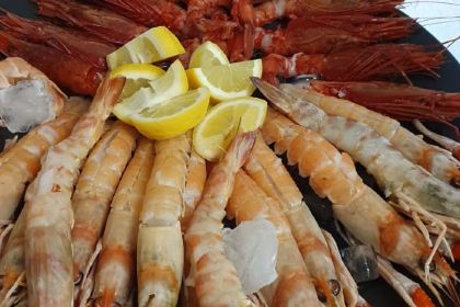 Le Tartare Cucina & Vini