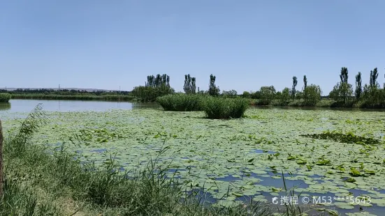 鶴泉湖