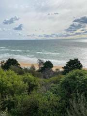 Mills Beach Scenic Lookout