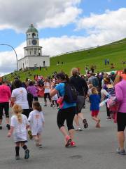 Blue Nose International Marathon