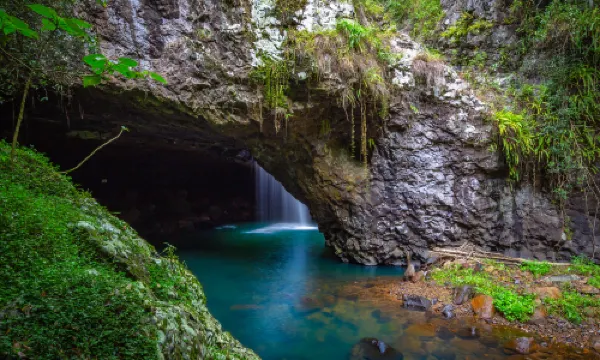 Parque nacional Springbrook