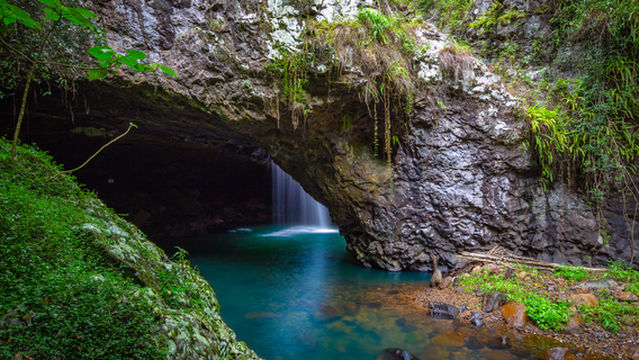 Springbrook National Park