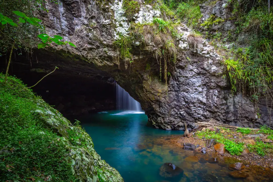1_Springbrook National Park