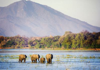 Luangwa