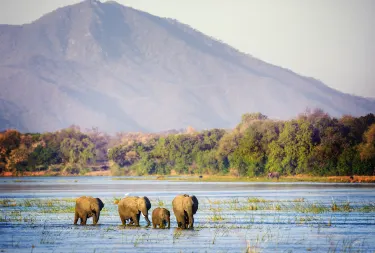 Luangwa