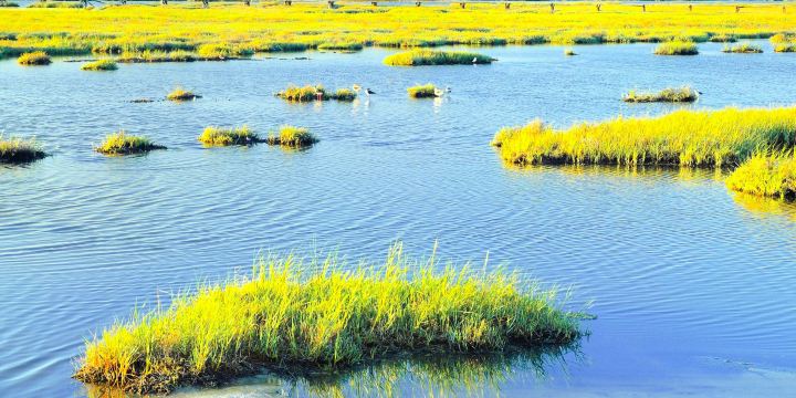 Baylands Nature Preserve