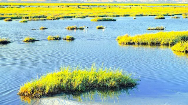 Baylands Nature Preserve