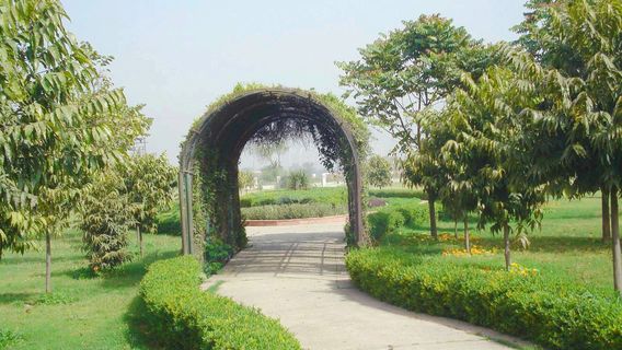 Tau Devi Lal Park