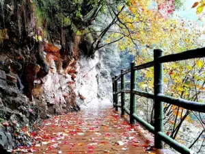 Wangfu Zhuhai Holiday Tourist Area