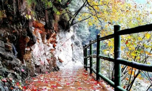 Wangfu Zhuhai Holiday Tourist Area