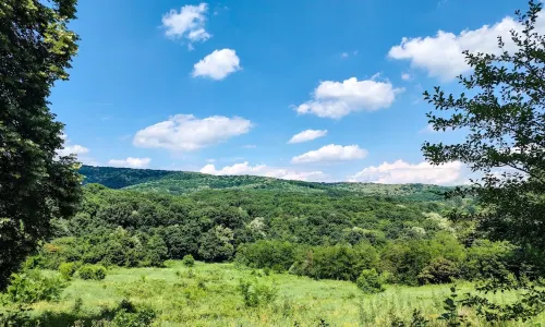 Parco nazionale della Fruška Gora