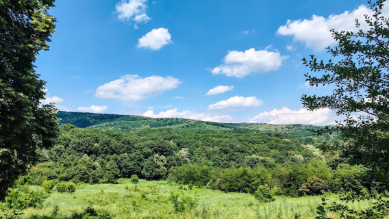 Frushka Gora National Park