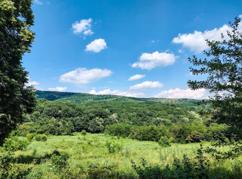 Frushka Gora National Park