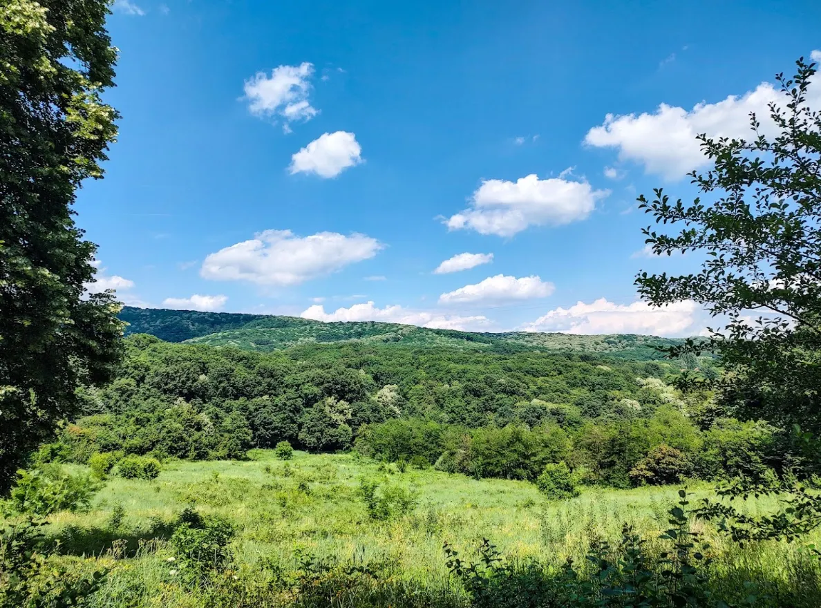 Parco nazionale della Fruška Gora