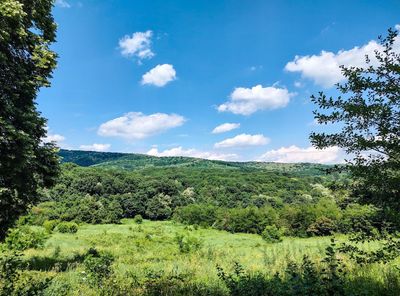 Frushka Gora National Park