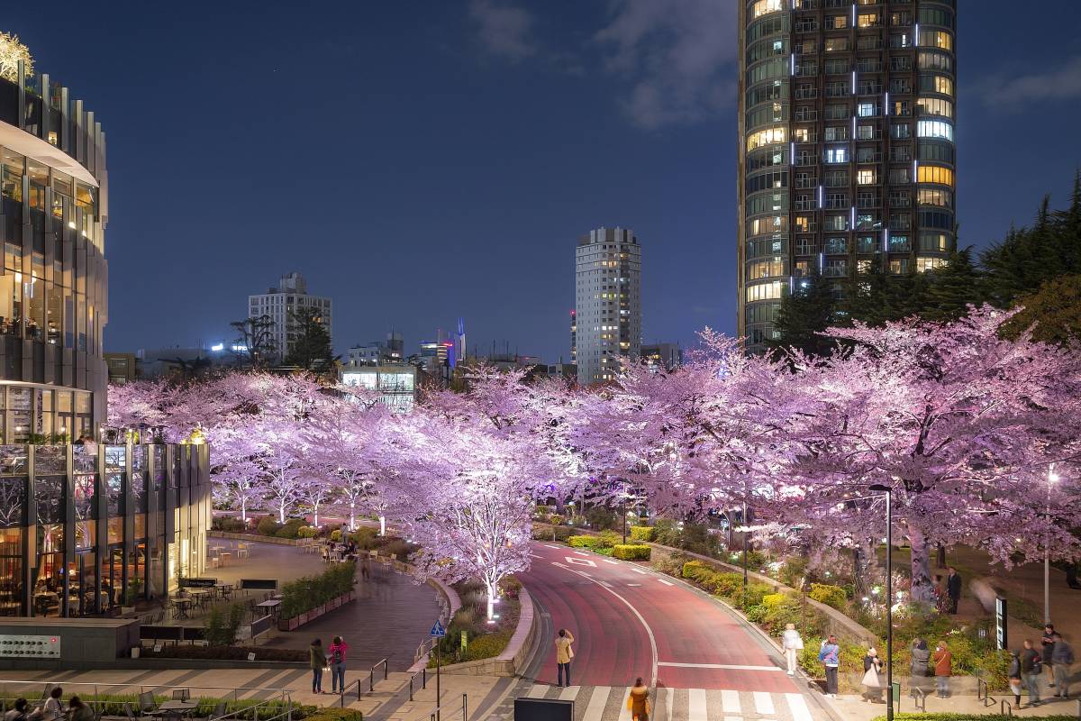 Roppongi District