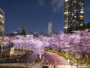 Roppongi