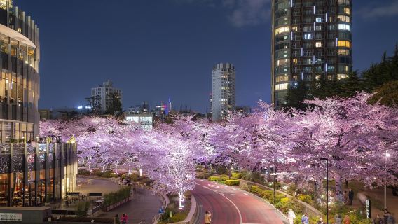 Roppongi