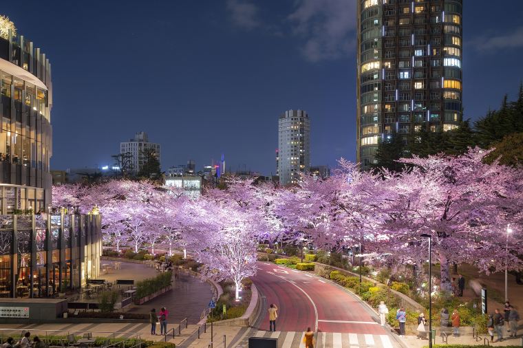 เที่ยวญี่ปุ่นช่วงวันหยุดสงกรานต์