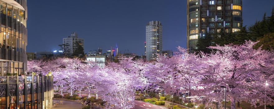 Roppongi District