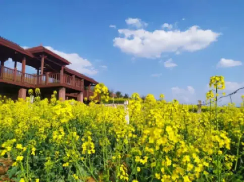 กิจกรรมในฤดูใบไม้ผลิยอดนิยมในตันเฟิง