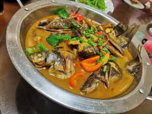 JIANQIANGFANDIAN