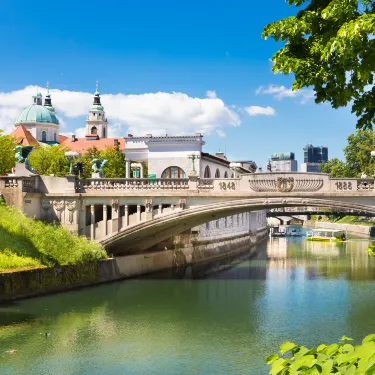 Dragon Bridge