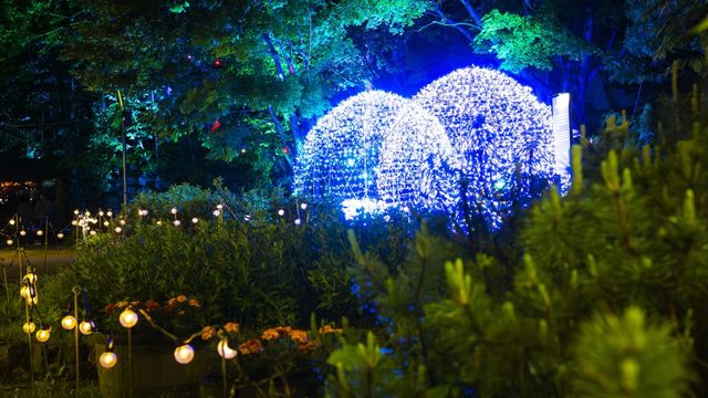 Jozankei Nature Luminarie | Sapporo