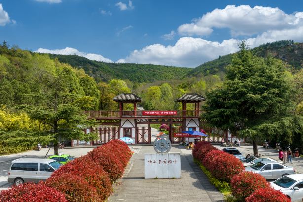 定軍山
