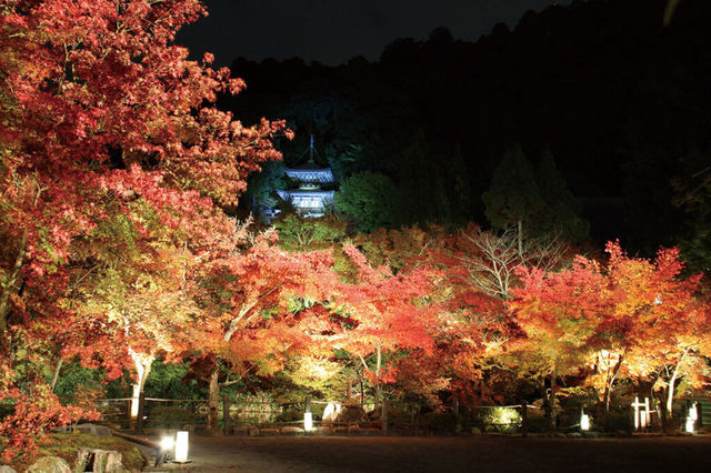 Autumn Temple Treasures Exhibition (Latter Session) | Kyoto