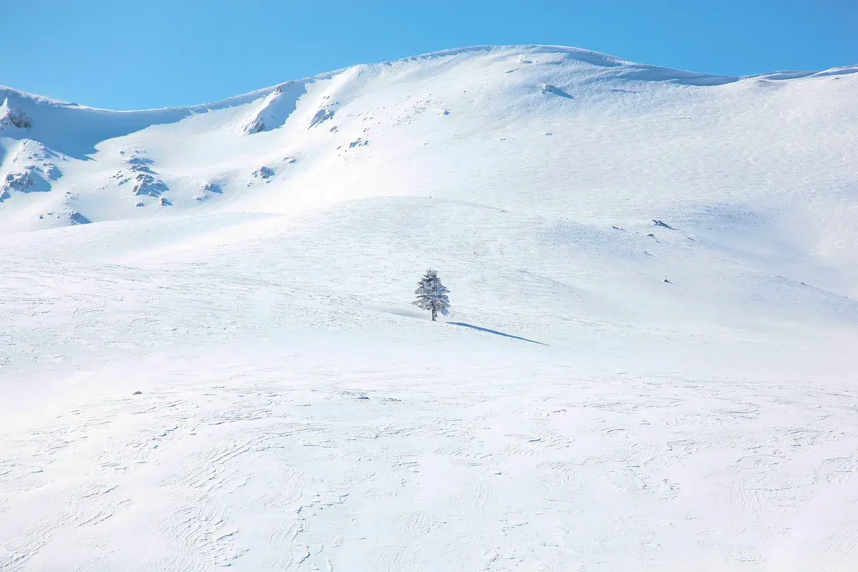 4_烏魯達國家公園