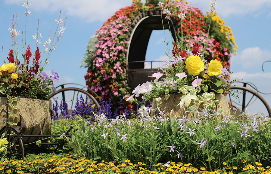Garden Festa Eniwa | Eniwa