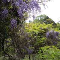 京都湯の花温泉郷ちかくの古寺