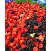 Berastagi Fruit Market