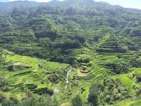 Rice Terraces