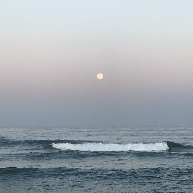 안목해변과 강릉시장