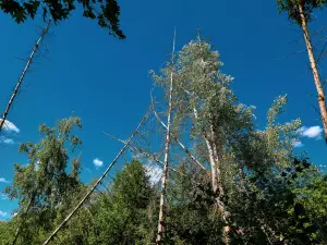 Guifengshan National Forest Park