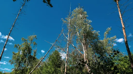 圭峰山國家森林公園